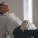 007Store James Bond Blofeld's Cat Tree Decoration, view 2