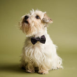 007Store James Bond Pet Bow Tie (Outlet Item), view 2