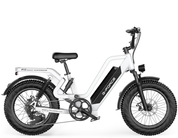 Best E-Bike Brands (2026): G-FORCE vs Fucare vs Bike Ninja
