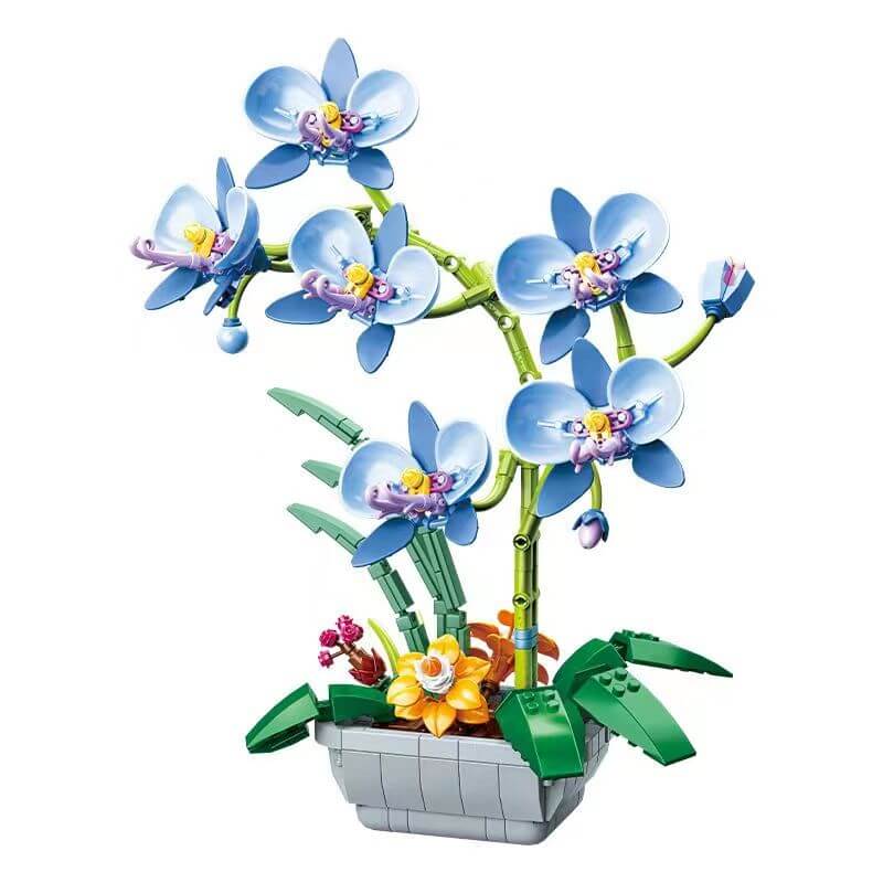 Afobrick JAKI flowers Moth orchids