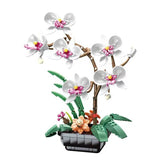 Afobrick JAKI flowers Moth orchids, view 2