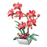 Afobrick JAKI flowers Moth orchids, view 3