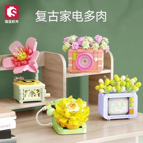 Afobrick Sembo Flowers of Succulents and appliances