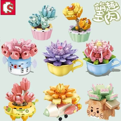 Afobrick Sembo Succulent plants