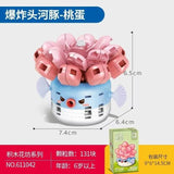 Afobrick Sembo Succulent plants, view 2