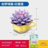 Afobrick Sembo Succulent plants, view 3