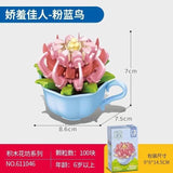 Afobrick Sembo Succulent plants, view 4
