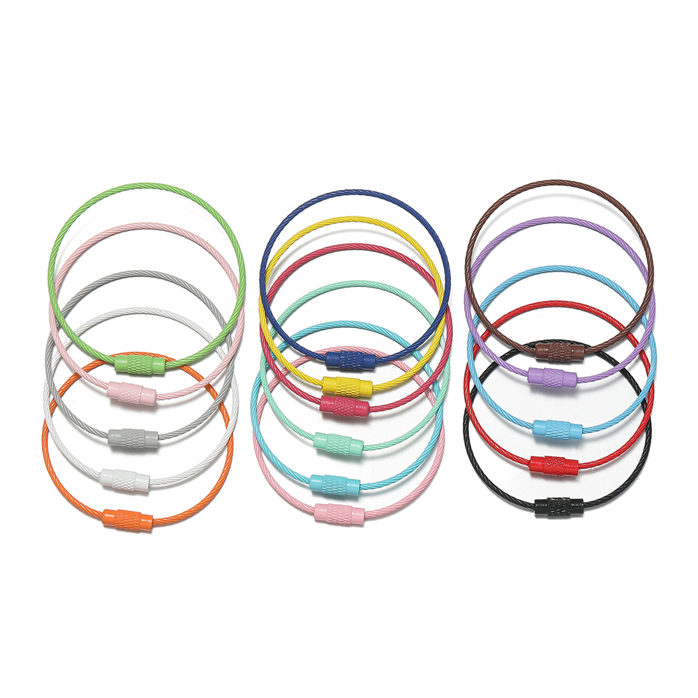 AliExpress 10-Piece 50mm Screw Lock Iron Key Rings