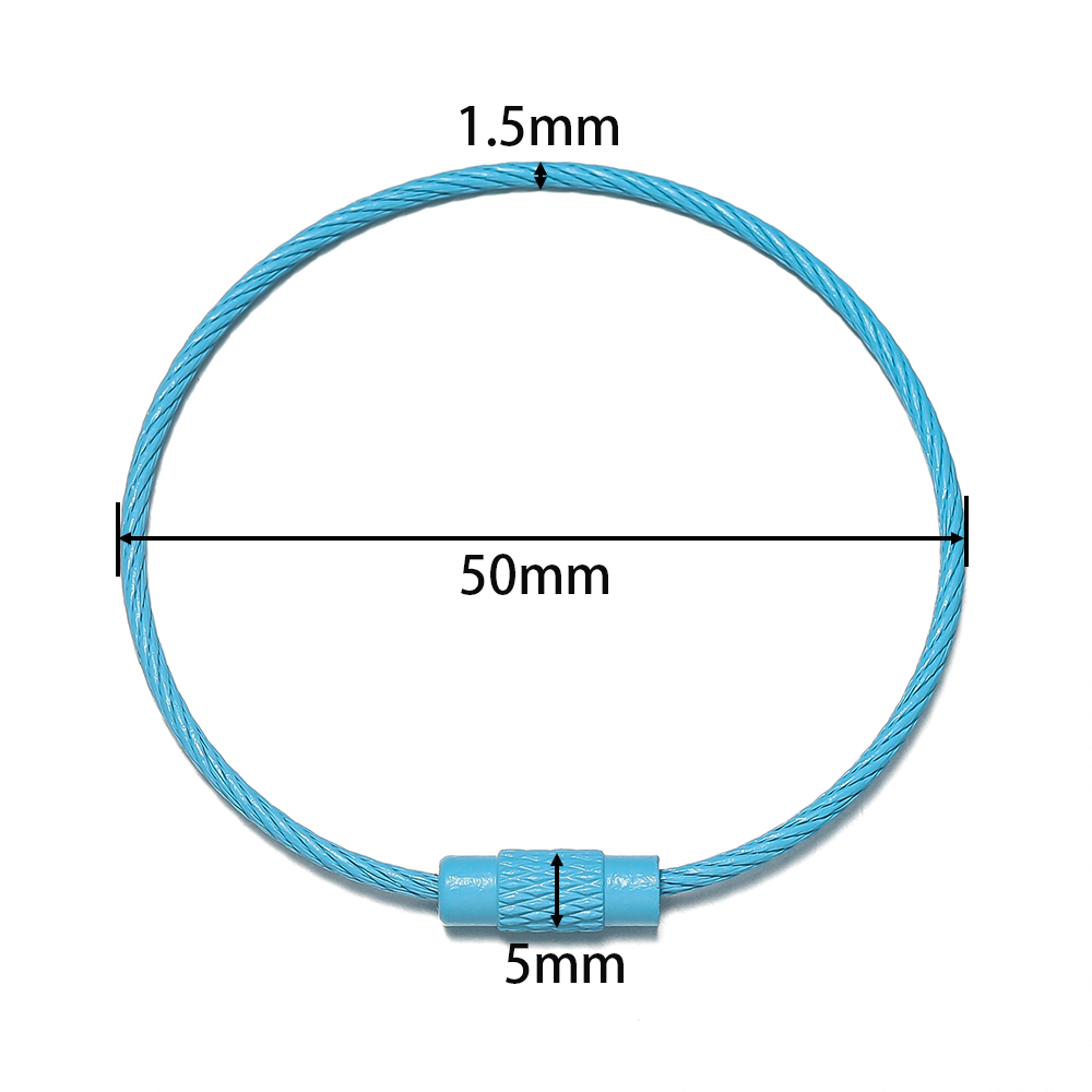 AliExpress 10-Piece 50mm Screw Lock Iron Key Rings, view 2