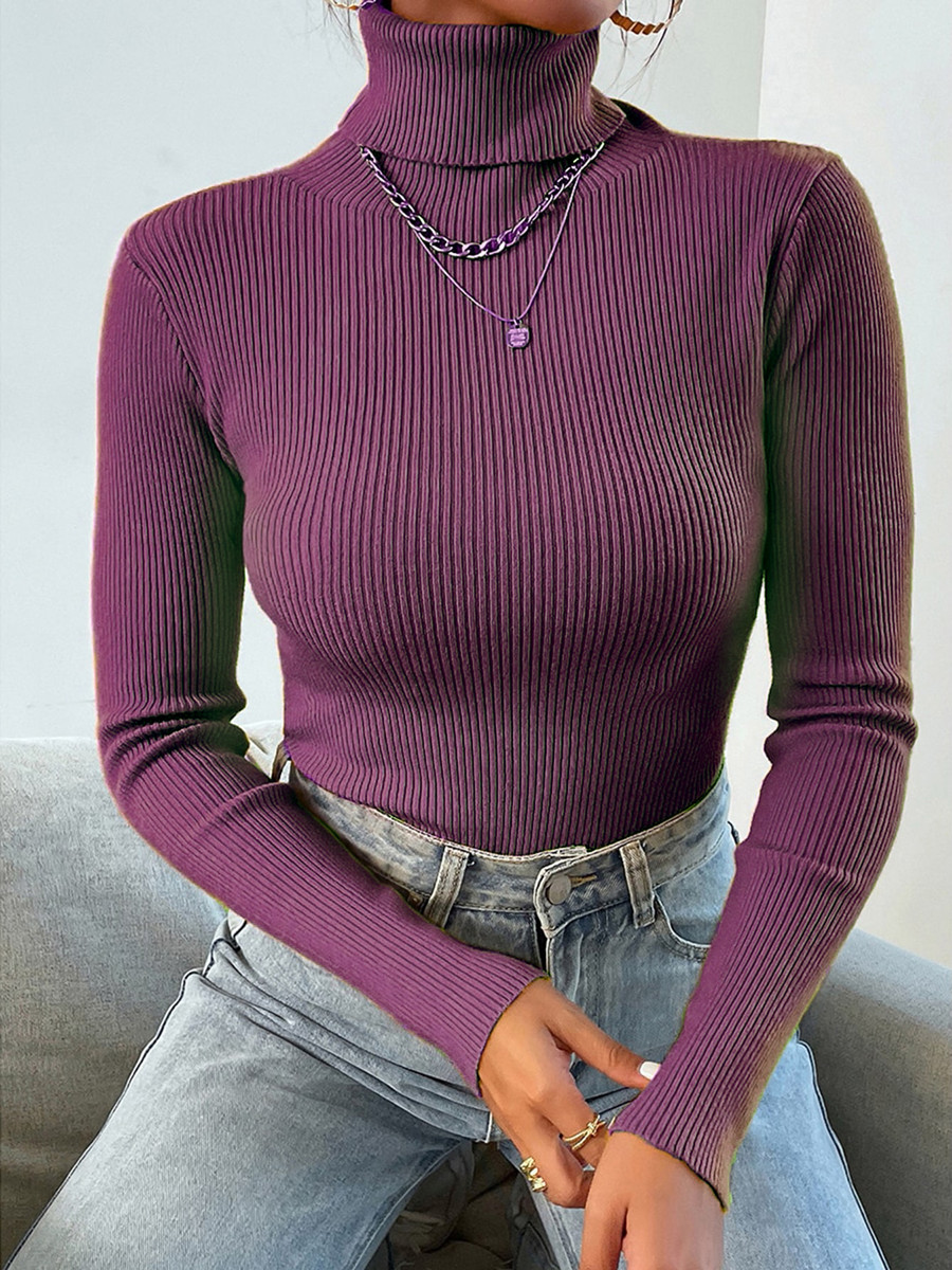 AliExpress 2026 Autumn Winter Women Long Sleeve Knitted Foldover Turtleneck Ribbed Pull Sweater Soft Warm Femme Jumper Pullover Clothes