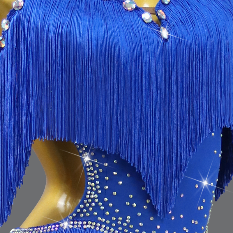 AliExpress 2026 New Latin Performance Dance Dress Women Sexy Outdoor Ballroom Party Fringe Skirt Sport Practice Wear Blue Prom Evening Suit, view 6
