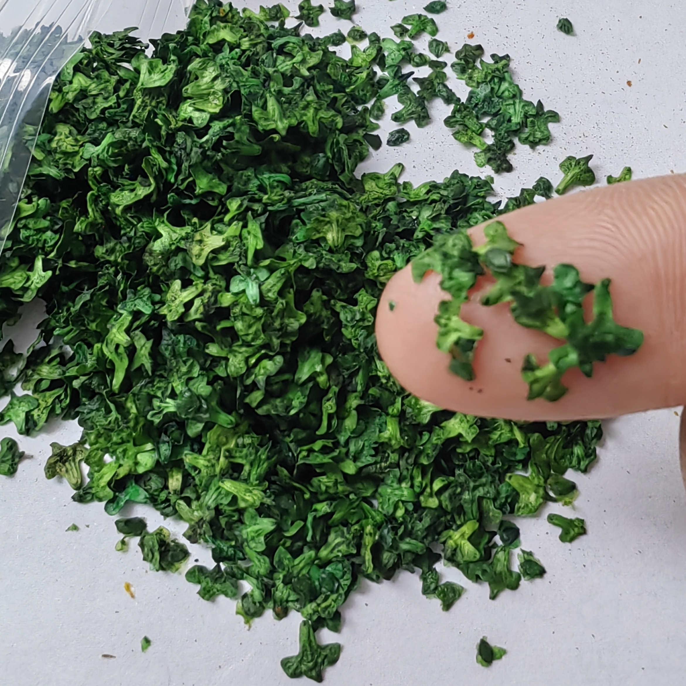 AliExpress 33ml Realistic Miniature Leaves Simulation Leaves for DIY Modeling Basing Railway Bonsai Fairy Garden Diorama Supplies GroundKit, view 4