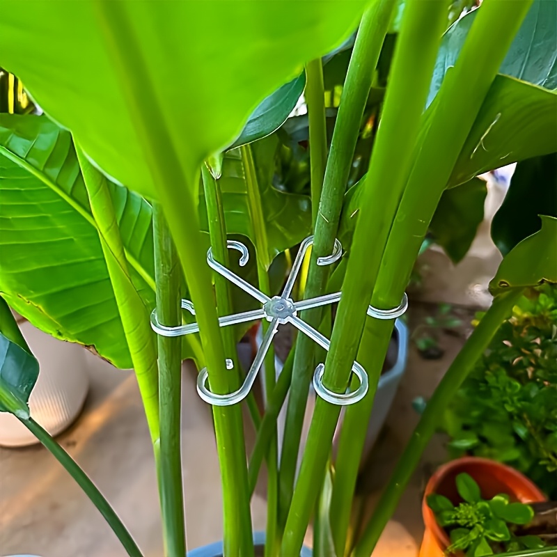 AliExpress 4-piece Set of Plant Stem Support Clips, Horticultural Plant Turtle Back Bamboo Support Fixator, Hydroponic Tree Branch Fixation, view 2