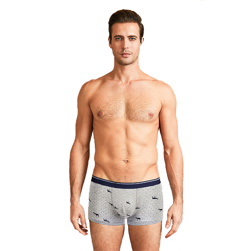 AliExpress 4pcs Men's Panties Sexy Shorts Cotton Underwear Male Breathable Boxers Solid Boxershorts Brand Underpants, view 5