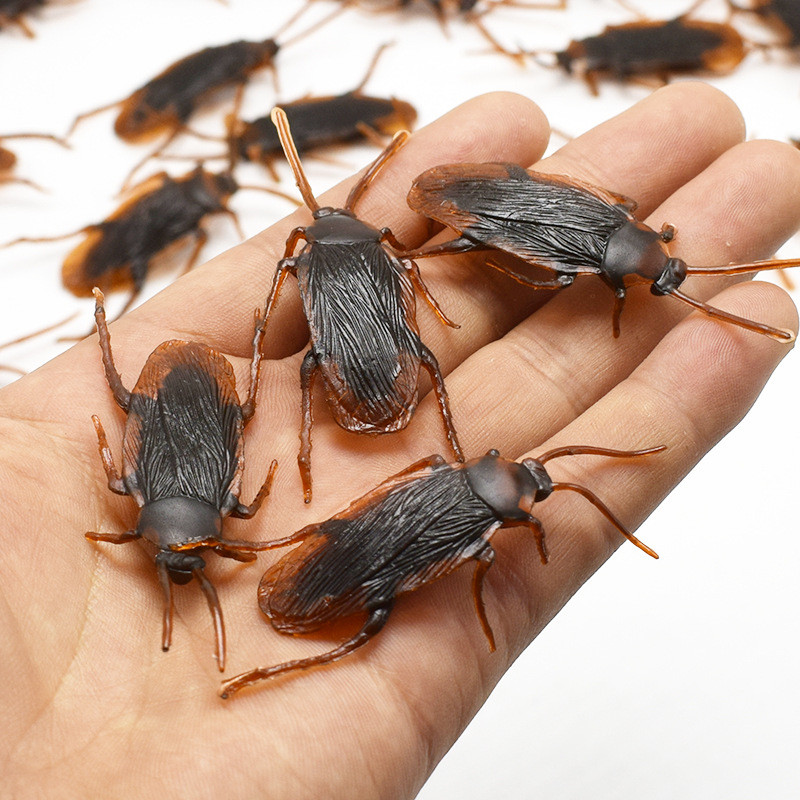 AliExpress Plastic Prank Cockroaches (5 to 50-Pack), view 2