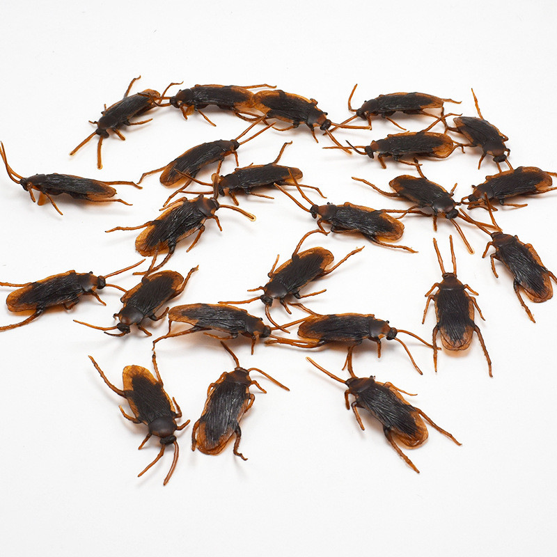 AliExpress Plastic Prank Cockroaches (5 to 50-Pack), view 3