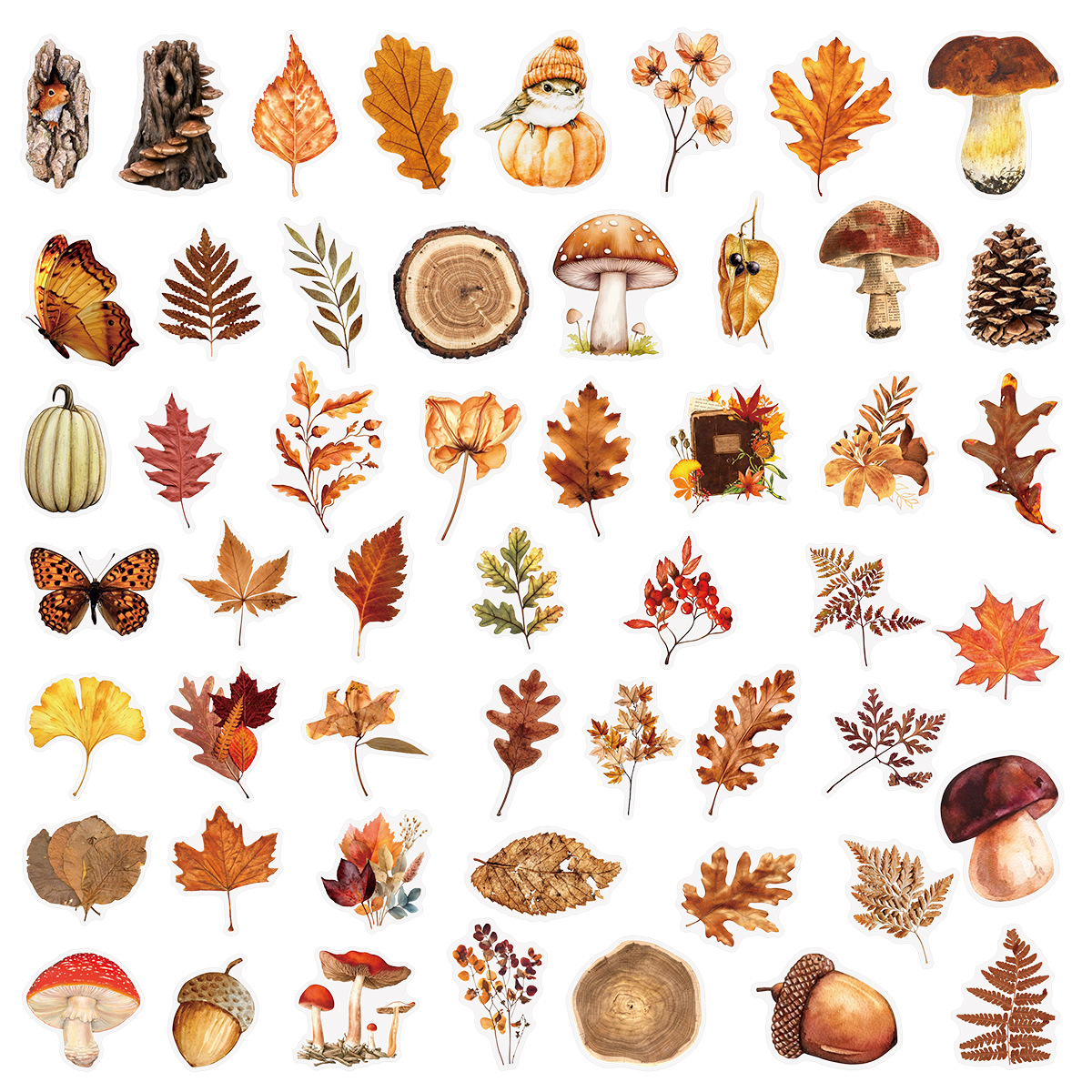 AliExpress 50/100Pcs Autumn Forest Animal & Plant Transparent Sticker School Stationery Decals Notebook Luggage Phone Fridge Stickers, view 5