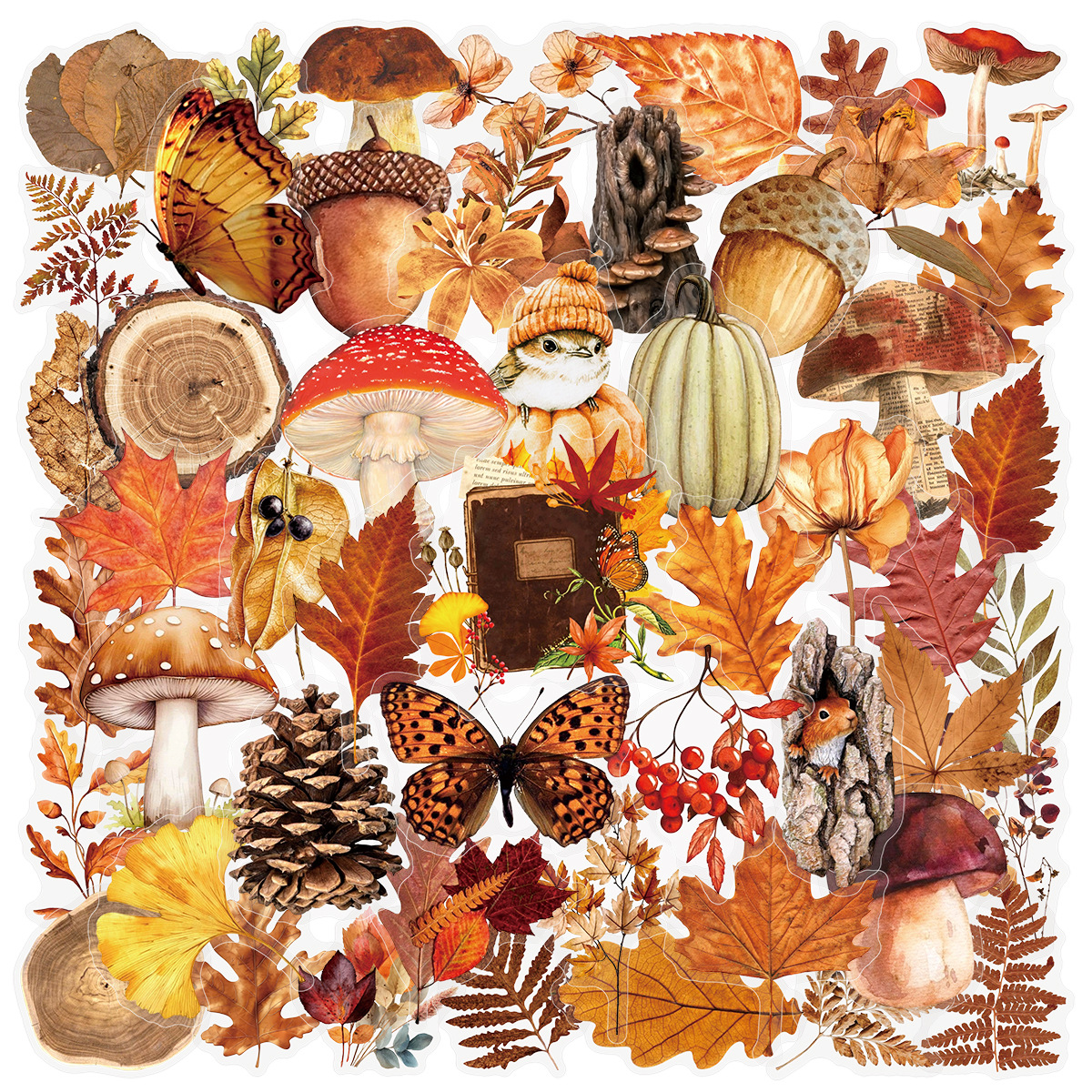 AliExpress 50/100Pcs Autumn Forest Animal & Plant Transparent Sticker School Stationery Decals Notebook Luggage Phone Fridge Stickers