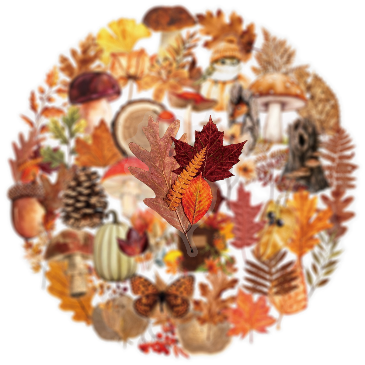 AliExpress 50/100Pcs Autumn Forest Animal & Plant Transparent Sticker School Stationery Decals Notebook Luggage Phone Fridge Stickers, view 2