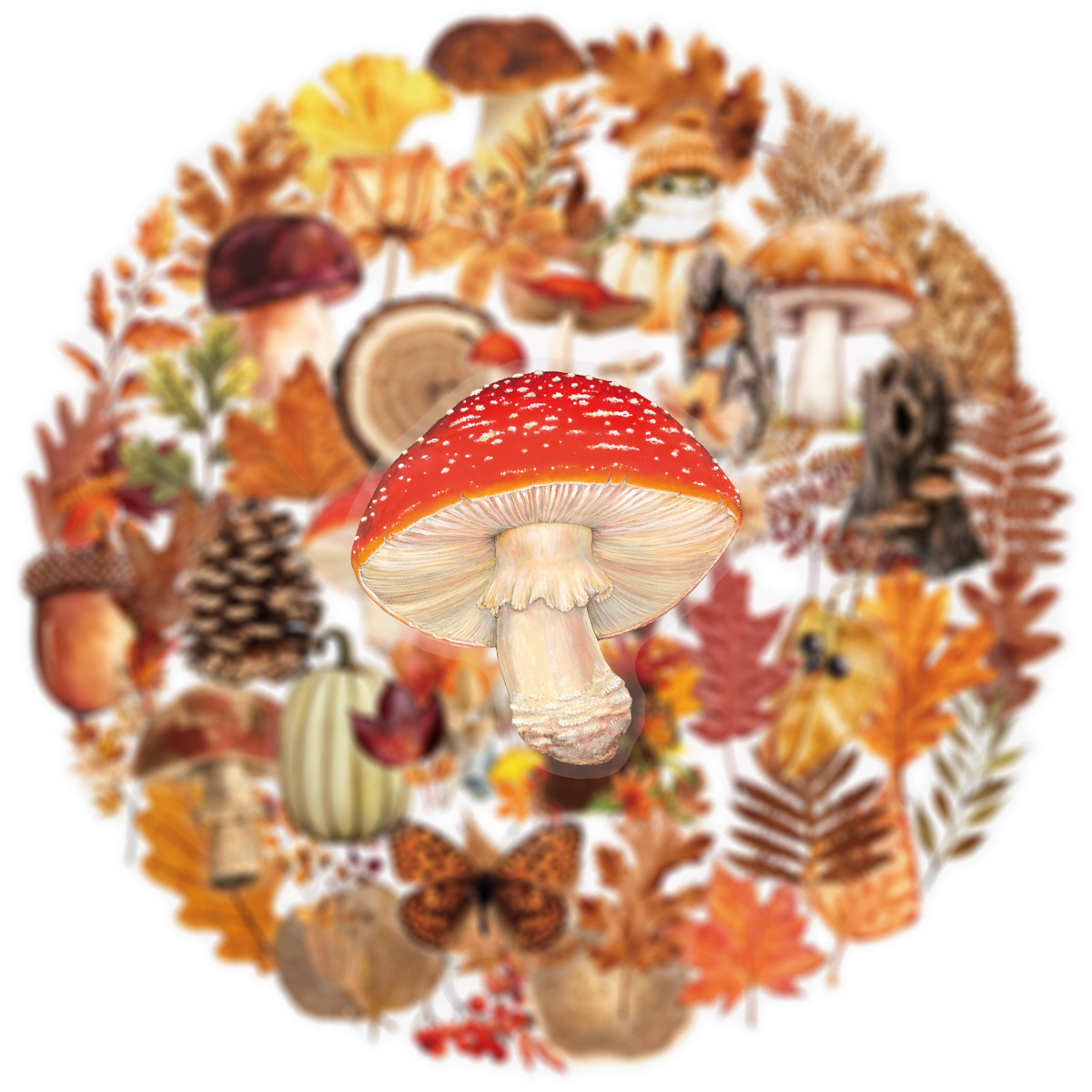 AliExpress 50/100Pcs Autumn Forest Animal & Plant Transparent Sticker School Stationery Decals Notebook Luggage Phone Fridge Stickers, view 3