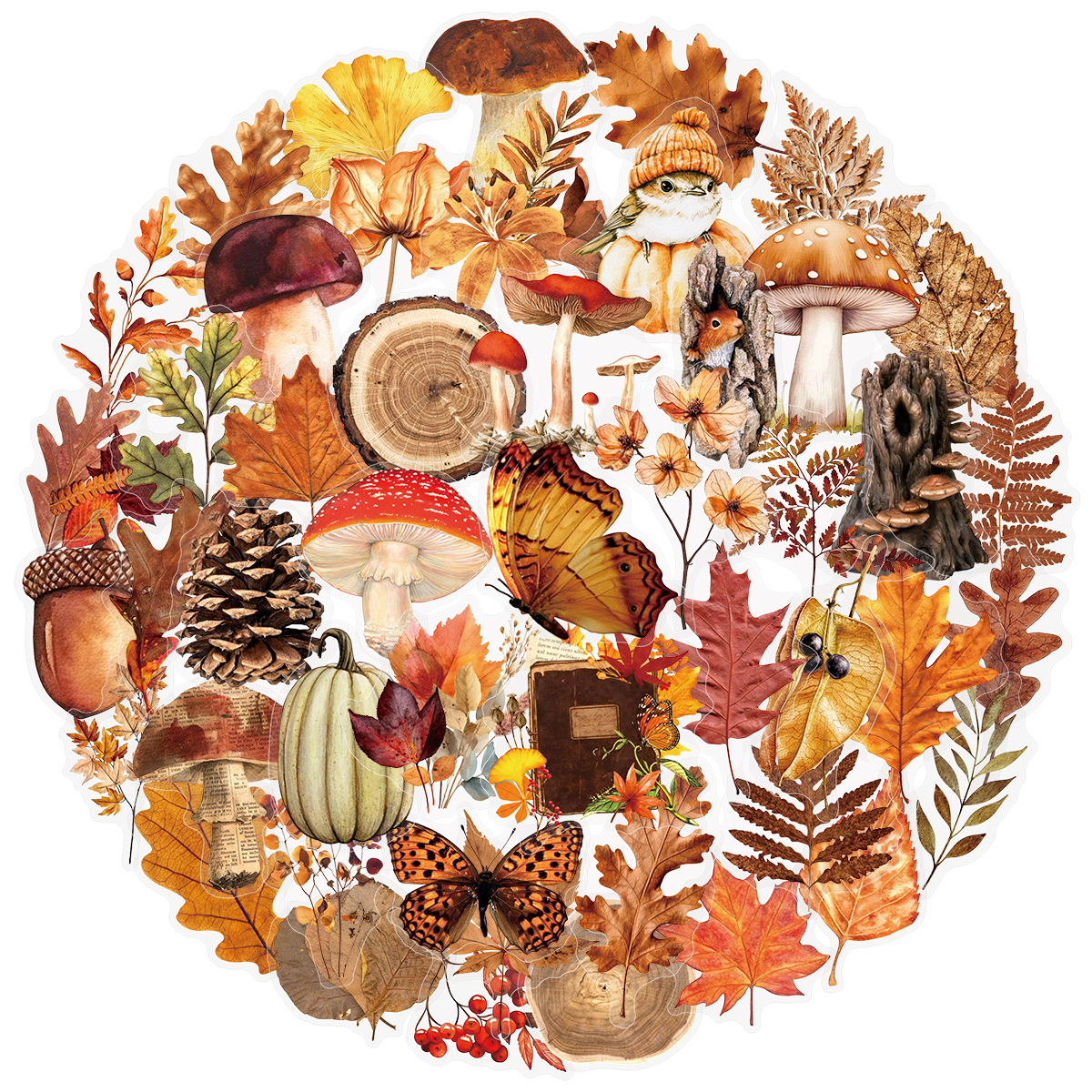 AliExpress 50/100Pcs Autumn Forest Animal & Plant Transparent Sticker School Stationery Decals Notebook Luggage Phone Fridge Stickers, view 6