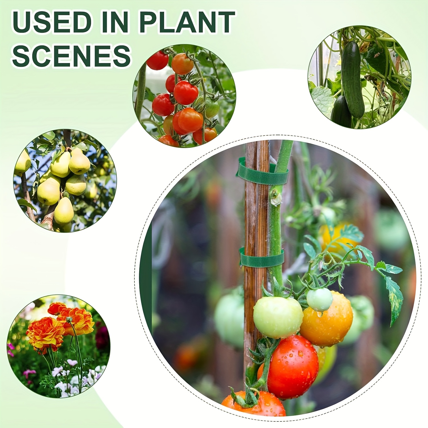 AliExpress 50/100pcs Reusable Adjustable Non-Slip Nylon Plant Ties with Hook and Loop Fasteners, Ideal for Gardening Applications, view 4