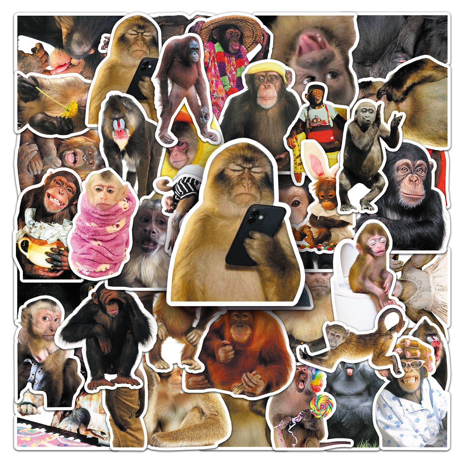 AliExpress 50Pcs Crazy Funny Monkey & Orangutan Doodle Stickers Waterproof Decals for Stationery Notebook Helmet Motorcycle Suitcase Fridge