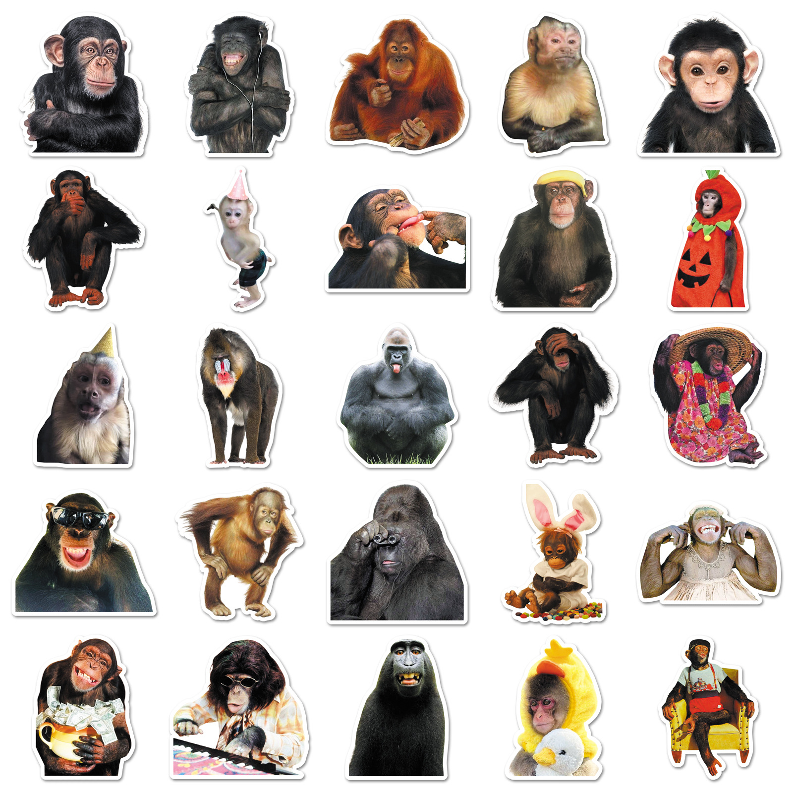 AliExpress 50Pcs Crazy Funny Monkey & Orangutan Doodle Stickers Waterproof Decals for Stationery Notebook Helmet Motorcycle Suitcase Fridge, view 2
