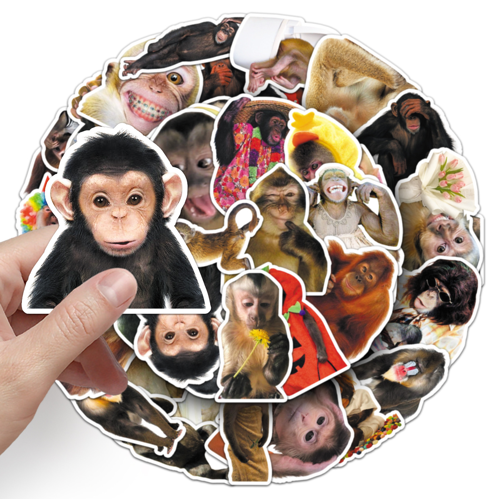 AliExpress 50Pcs Crazy Funny Monkey & Orangutan Doodle Stickers Waterproof Decals for Stationery Notebook Helmet Motorcycle Suitcase Fridge, view 3