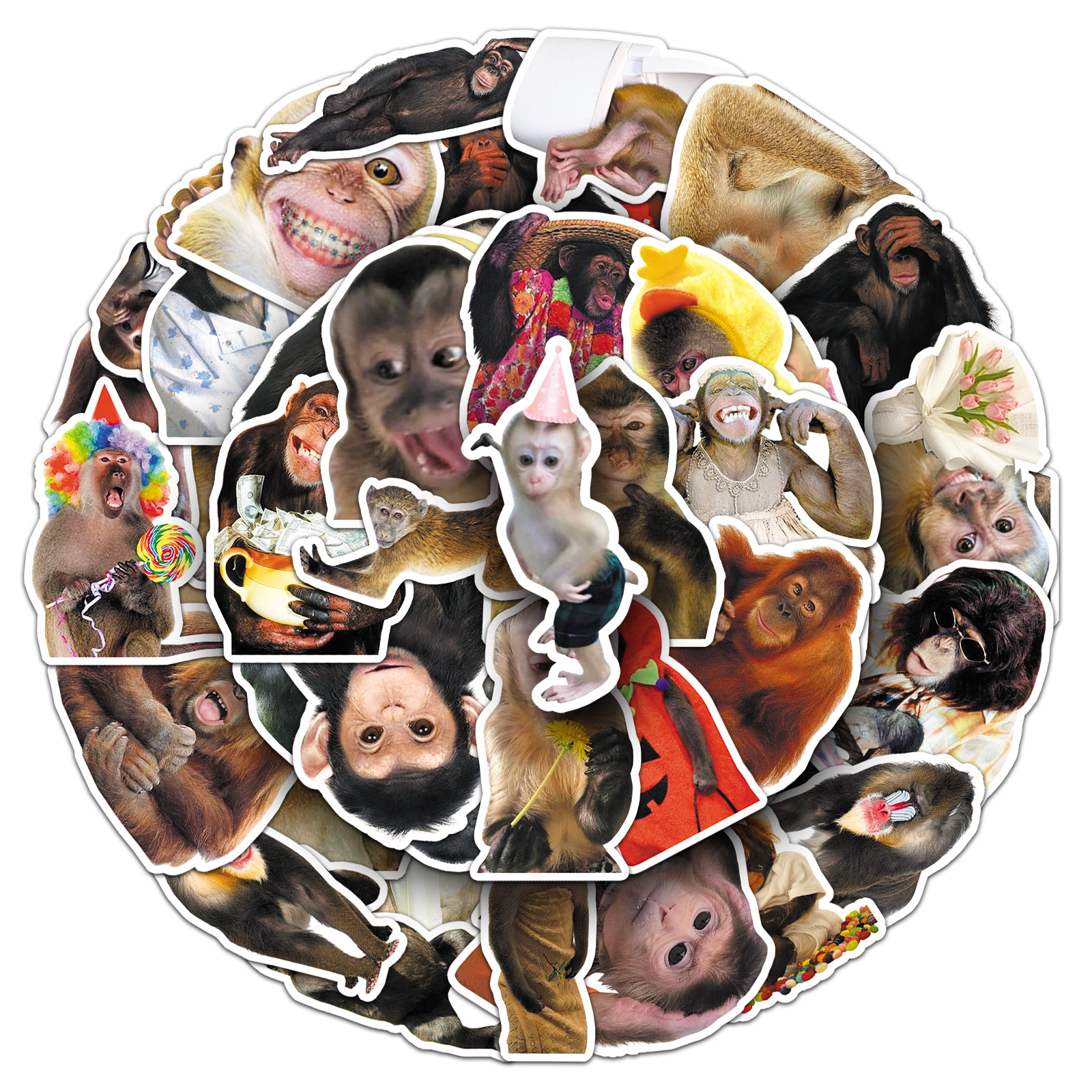 AliExpress 50Pcs Crazy Funny Monkey & Orangutan Doodle Stickers Waterproof Decals for Stationery Notebook Helmet Motorcycle Suitcase Fridge, view 4