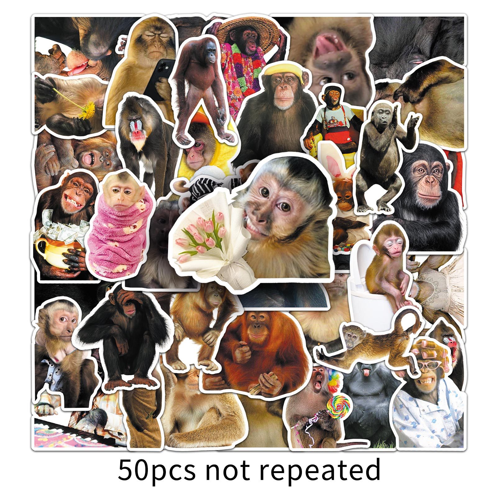 AliExpress 50Pcs Crazy Funny Monkey & Orangutan Doodle Stickers Waterproof Decals for Stationery Notebook Helmet Motorcycle Suitcase Fridge, view 5