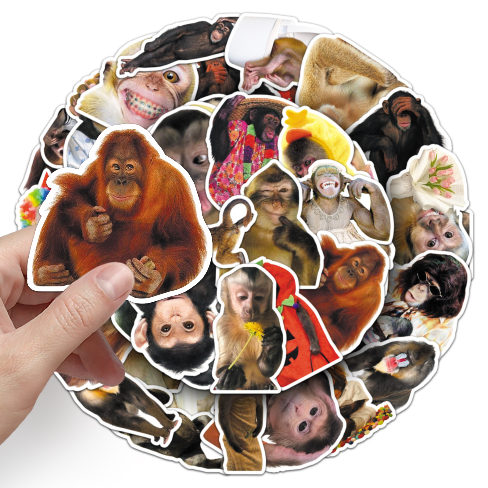 AliExpress 50Pcs Crazy Funny Monkey & Orangutan Doodle Stickers Waterproof Decals for Stationery Notebook Helmet Motorcycle Suitcase Fridge, view 6