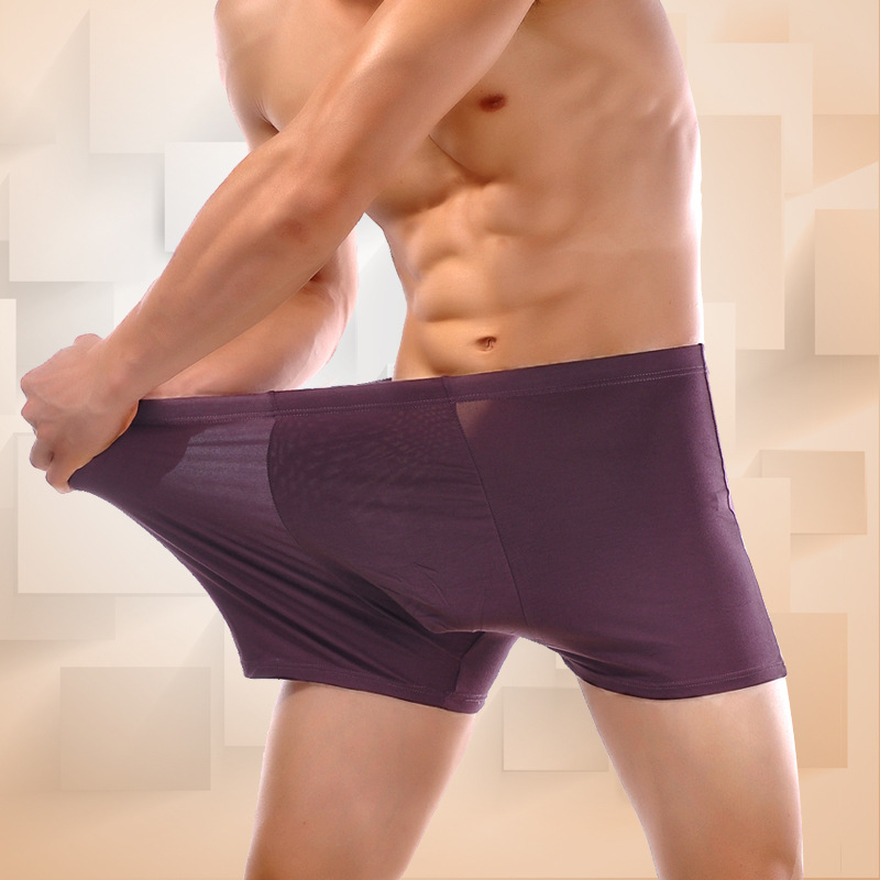AliExpress 5PCS/lot Top Quality Boxers Bamboo Underwear Male Underwear Box Plus Big Size XL-- 6XL Free Shipping, view 2