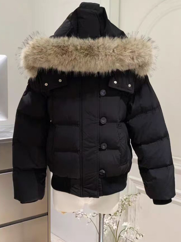 AliExpress Autumn Winter Fur Hooded Jacket Women Outerwear Thick Dowon Cotton Padded Slim Short Parkas Female Cropped Puffer Bubble Coat, view 2