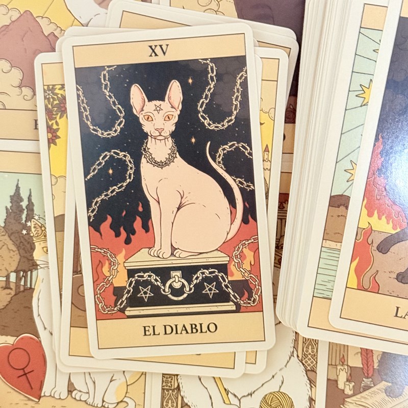 AliExpress El Tarot De Los Gatos Cards 78 cartas del tarot Spanish Edition Cats Rule Earth Divination Deck Borad Playing Games, view 5