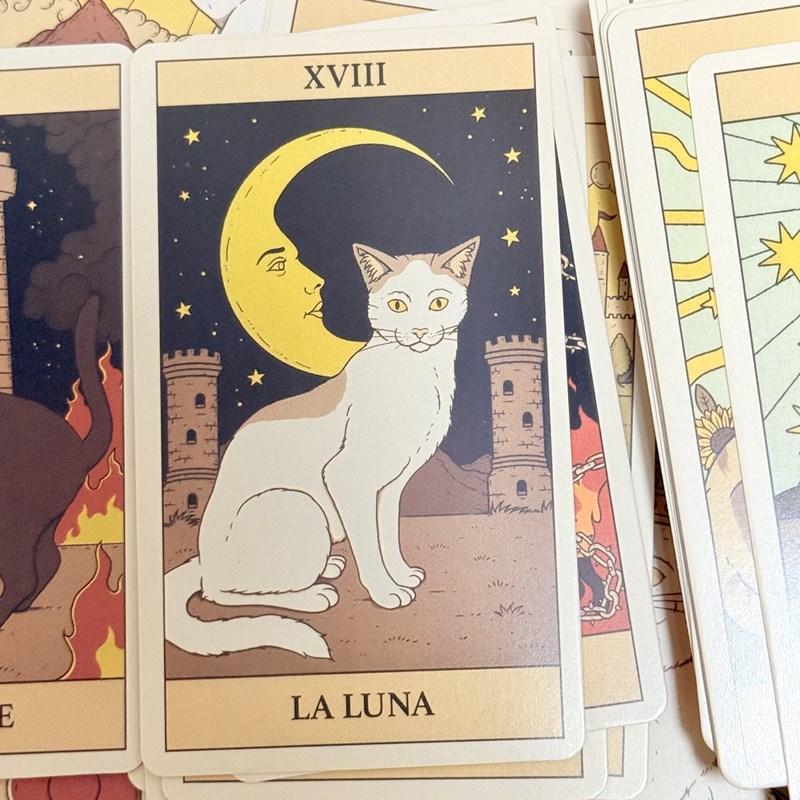 AliExpress El Tarot De Los Gatos Cards 78 cartas del tarot Spanish Edition Cats Rule Earth Divination Deck Borad Playing Games, view 6