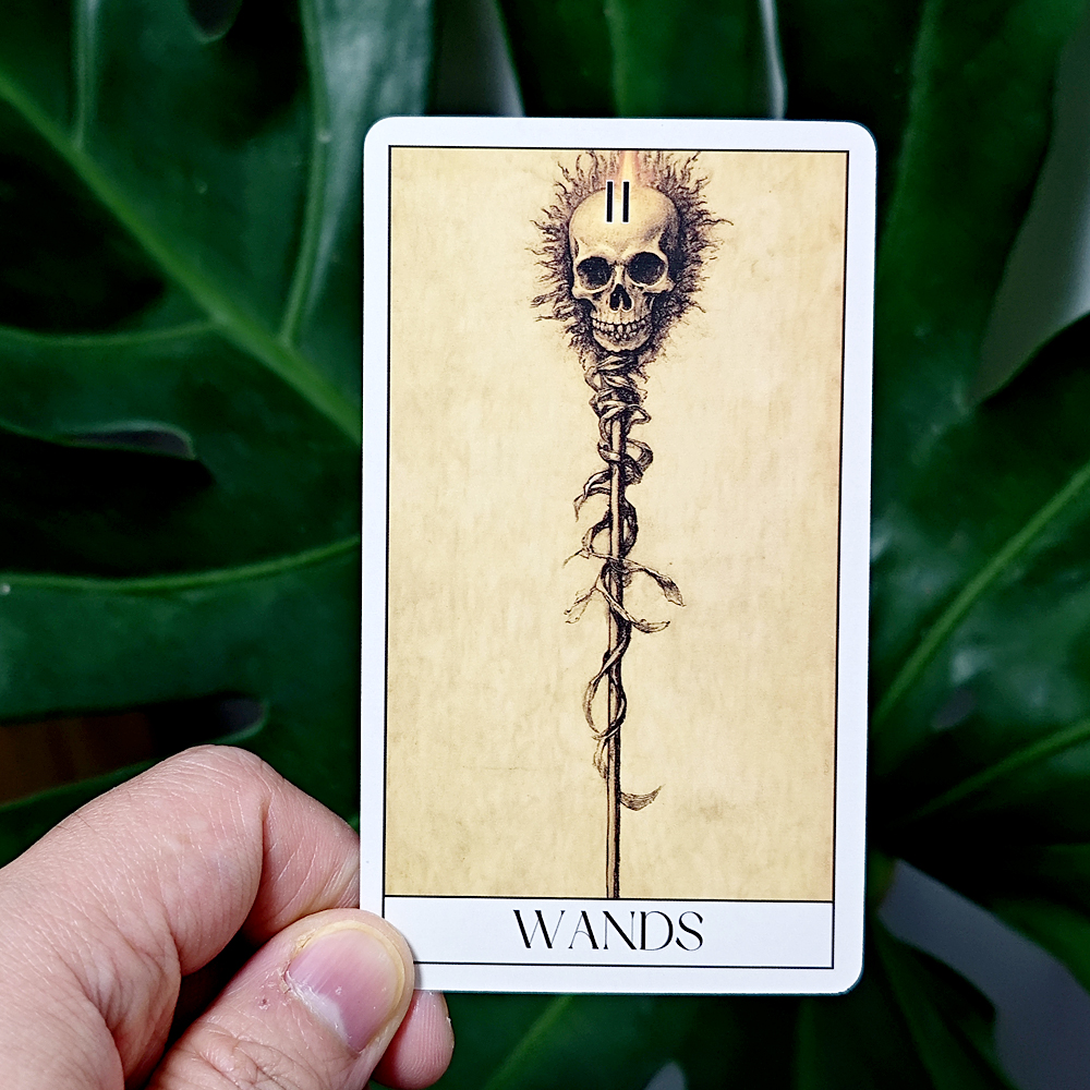 AliExpress Gothic Tarot Deck Horror Style 78 Rider-waite Cards 10.3*6cm Embark on An Eerie Journey with Our Gothic Horror Tarot Card Deck, view 6