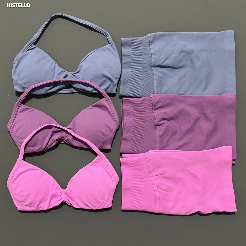 AliExpress HISTELLO Gym Set 2 Piece Women Strappy Yoga Bra Top Workout Scrunch Shorts Sports Suit Fitness Clothes Seamless Yoga Set