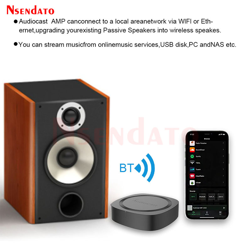 AliExpress IEAST Audiocast AMP50 Wireless WiFi & BT V5.0 Amplifier Multi Room Audio Music Receiver Adapter For Airplay DLNA Speakers Mic TV, view 3