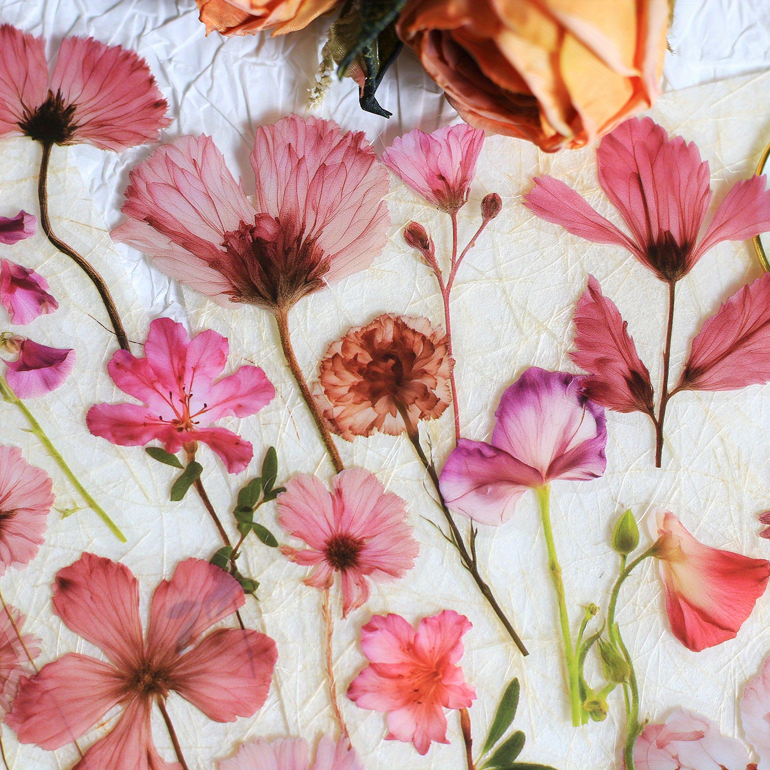 AliExpress Journamm 50Pcs Transparent Decoration Flower Stickers for Scrapbooking PET Floral Stickers for Journaling Scrapbooking