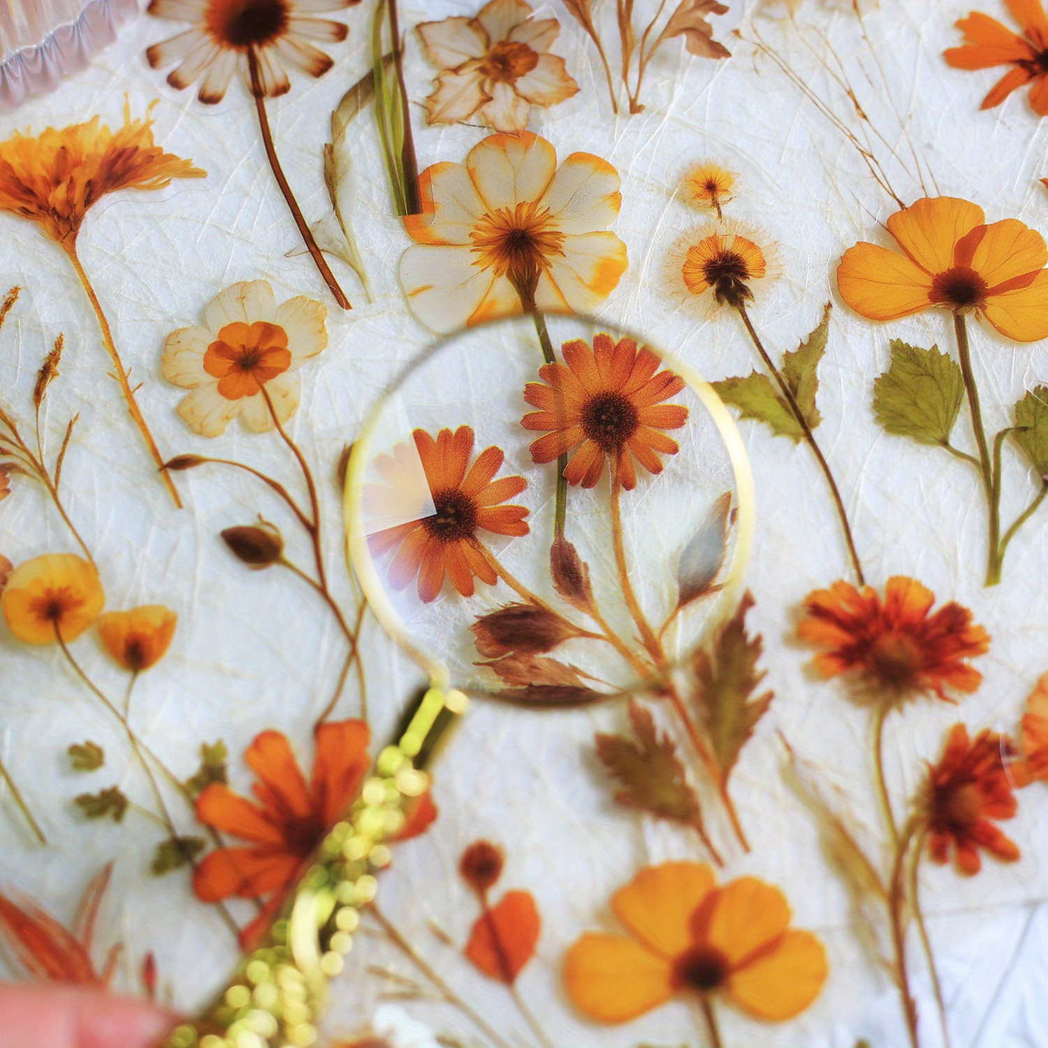 AliExpress Journamm 50Pcs Transparent Decoration Flower Stickers for Scrapbooking PET Floral Stickers for Journaling Scrapbooking, view 2