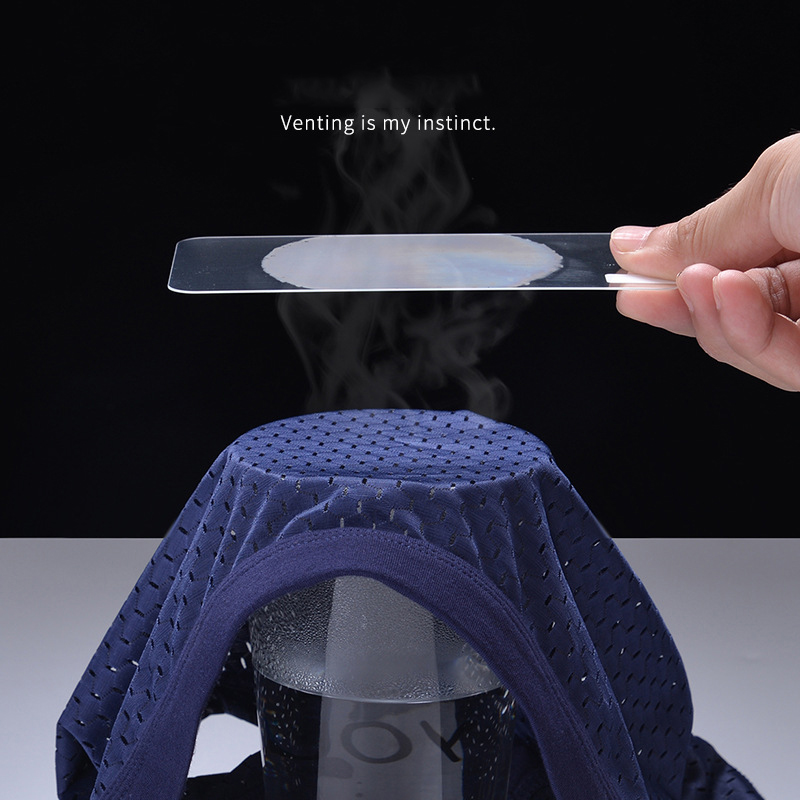 AliExpress Men Underwear Male Thin Breathable Triangle Panties for Men's Ice Silk Briefs Mesh Sexy Square Corner Pants for men's Shorts, view 6