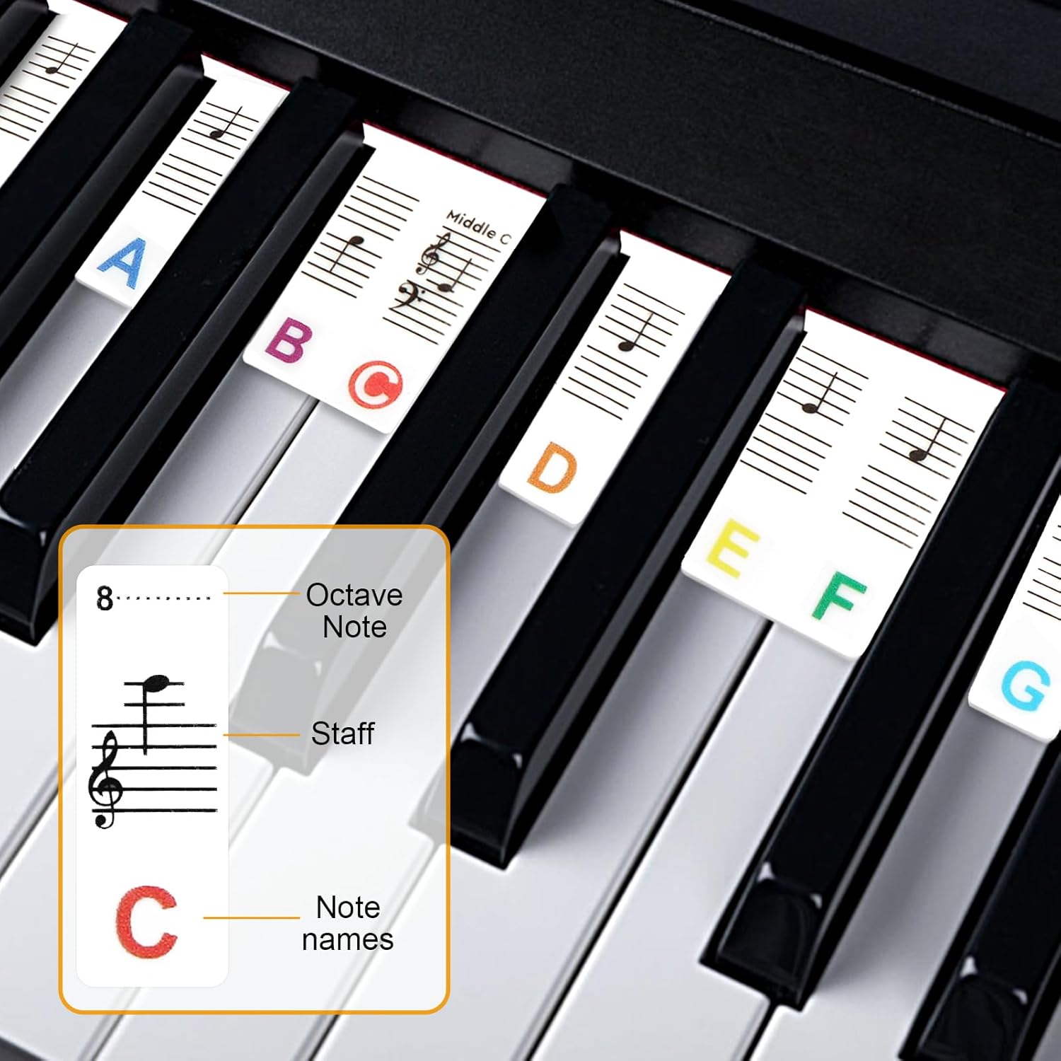 AliExpress Miwayer 61/88 Keys Piano Keyboard Stickers, Removable Piano Keyboard Note Labels for Learning Piano Notes Guide for Beginner, view 3