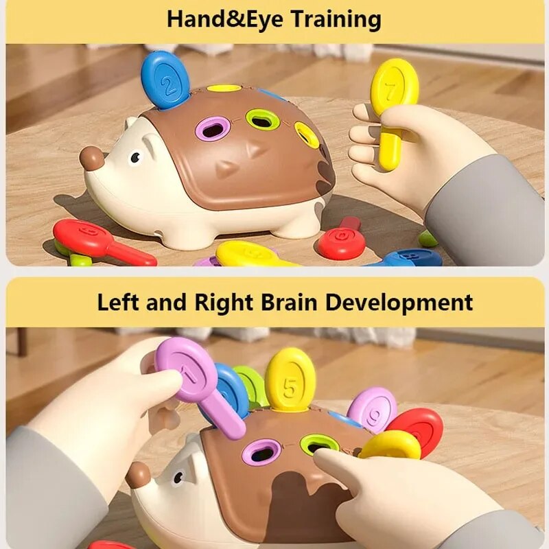 AliExpress Montessori Baby Hedgehog Toys Concentration Training Education Toys Fine Motor Sensory Educational Toy for Kids Birthday Gifts, view 3