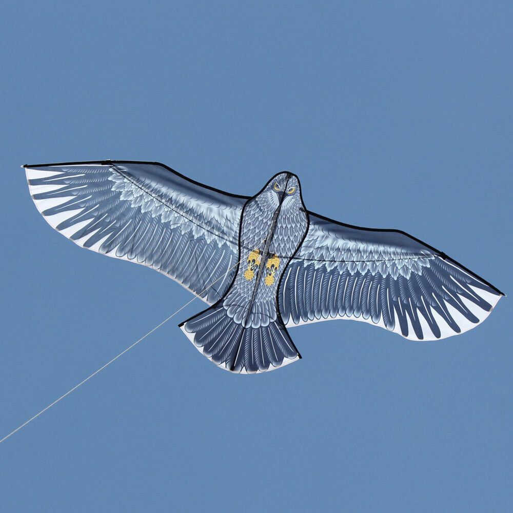 AliExpress NEW Arrive Outdoor Fun Sports 59 Inch Eagle Kite With Handle And Line For Adults Good Flying, view 2