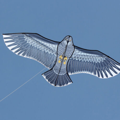 AliExpress NEW Arrive Outdoor Fun Sports 59 Inch Eagle Kite With Handle And Line For Adults Good Flying, view 3