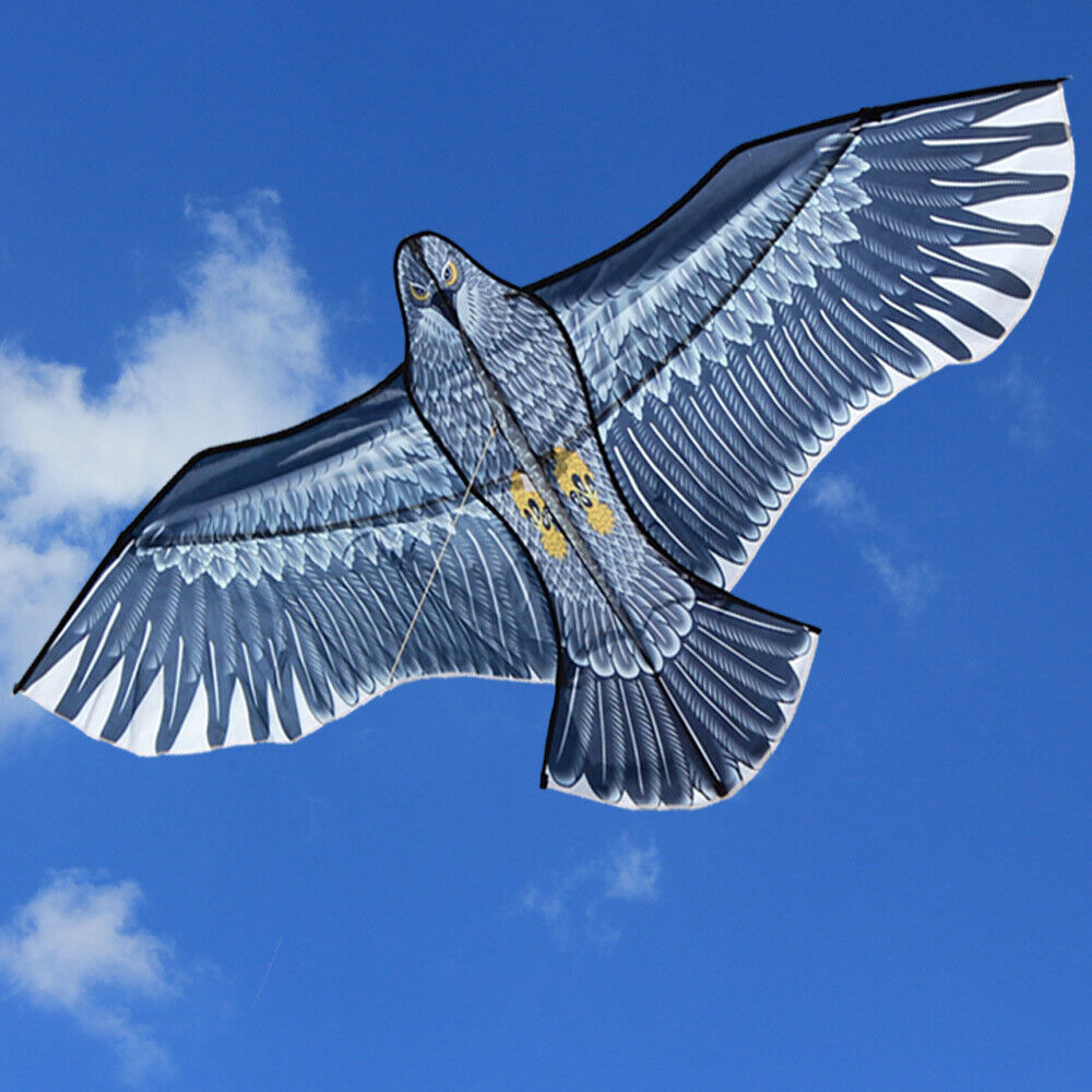 AliExpress NEW Arrive Outdoor Fun Sports 59 Inch Eagle Kite With Handle And Line For Adults Good Flying, view 4