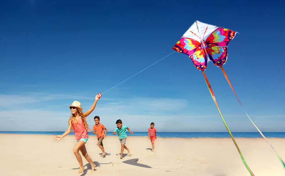 AliExpress New Arrive Outdoor Fun Sports Beautiful butterfly Kite With Handle And String Good Flying, view 4