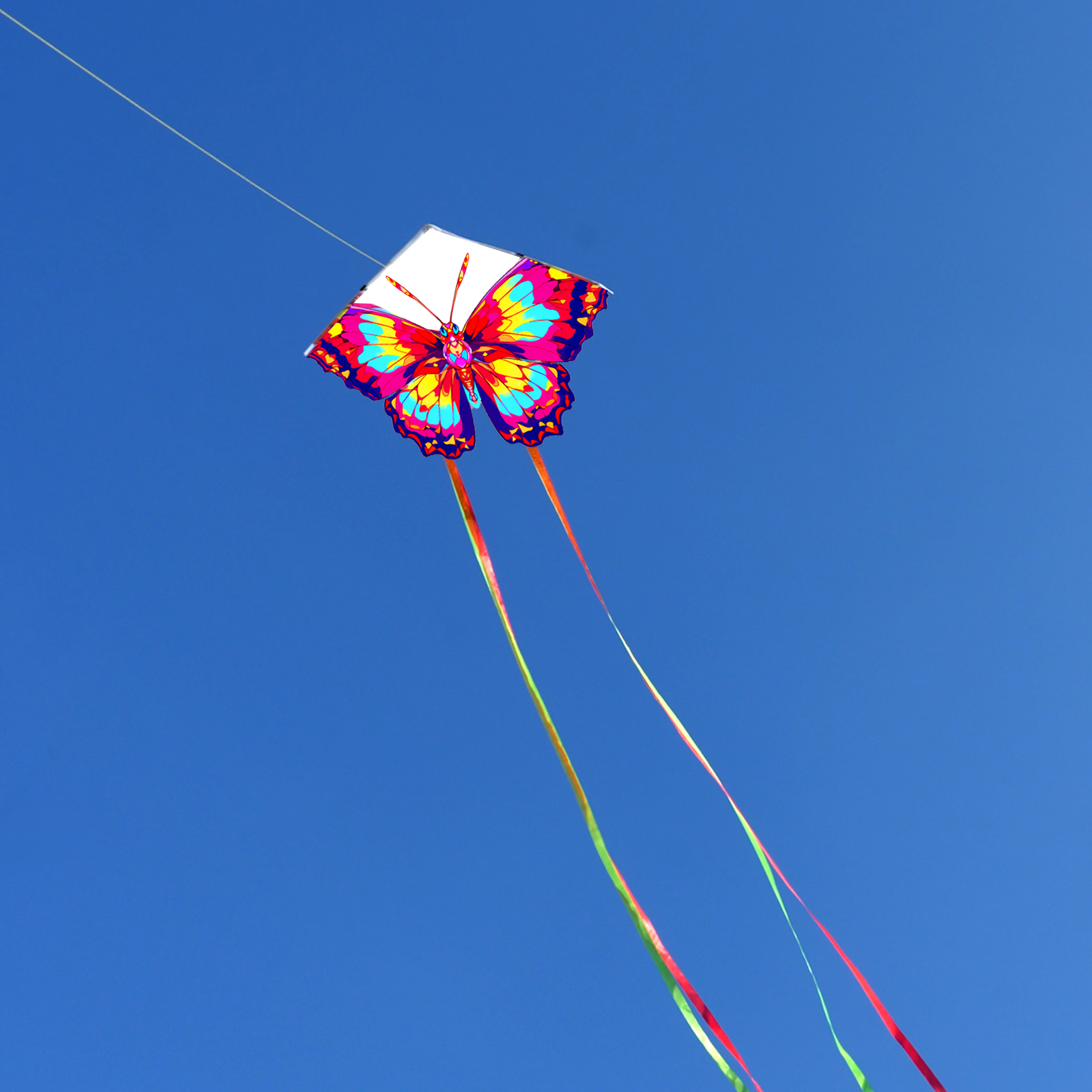 AliExpress New Arrive Outdoor Fun Sports  Beautiful butterfly Kite With Handle And String Good Flying, view 2