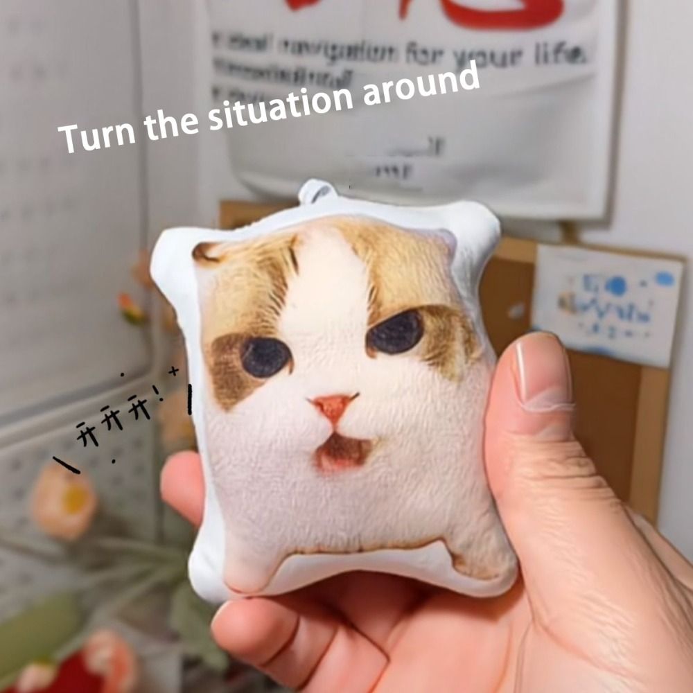 AliExpress Oiiaioooooiai Cat Voice Keychain with Sound Decompression German Kitten Voice Reverses Cat Voice, view 3